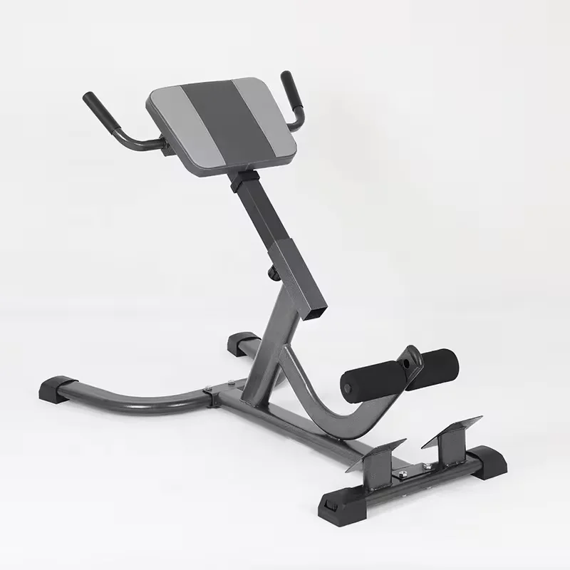 Home Gym Hamstring Exercises - 2026 Çelik Roma Sandalyesi Ayarlanabilir Bel
