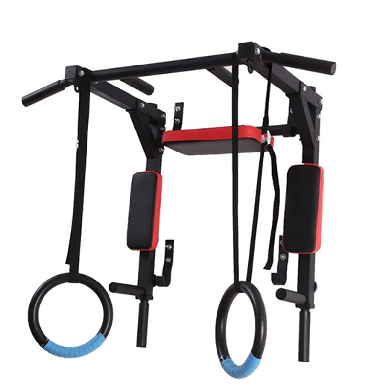 Home Gym Wall Mounted - Ağır Hizmet Tipi Duvara Monte Paralel
