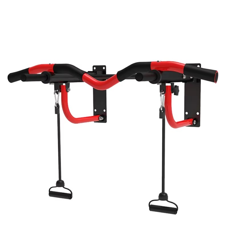Evde Kullanım İçin Kapı Kasası - Home Gym Wall Mounted incelemesi ve fiyatı