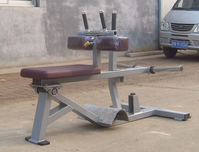 Ticari Spor Salonu Ekipmanı Ma - Seated Calf Raise incelemesi ve fiyatı