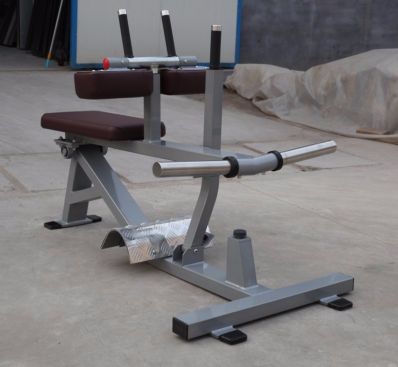 Ticari Spor Salonu Ekipmanı Ma - Seated Calf Raise incelemesi ve fiyatı